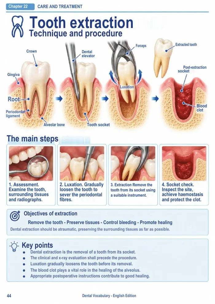 Dental Vocabulary — مصطلحات طب الأسنان بالإنجليزية