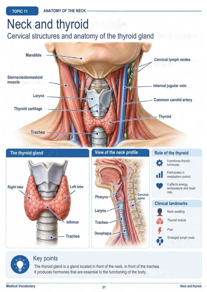 Medical Vocabulary — المصطلحات الطبية بالإنجليزية