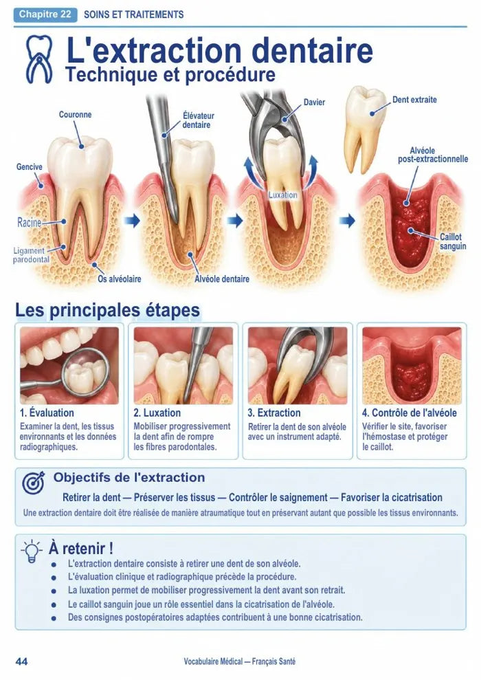 Vocabulaire Dentaire — مصطلحات طب الأسنان بالفرنسية